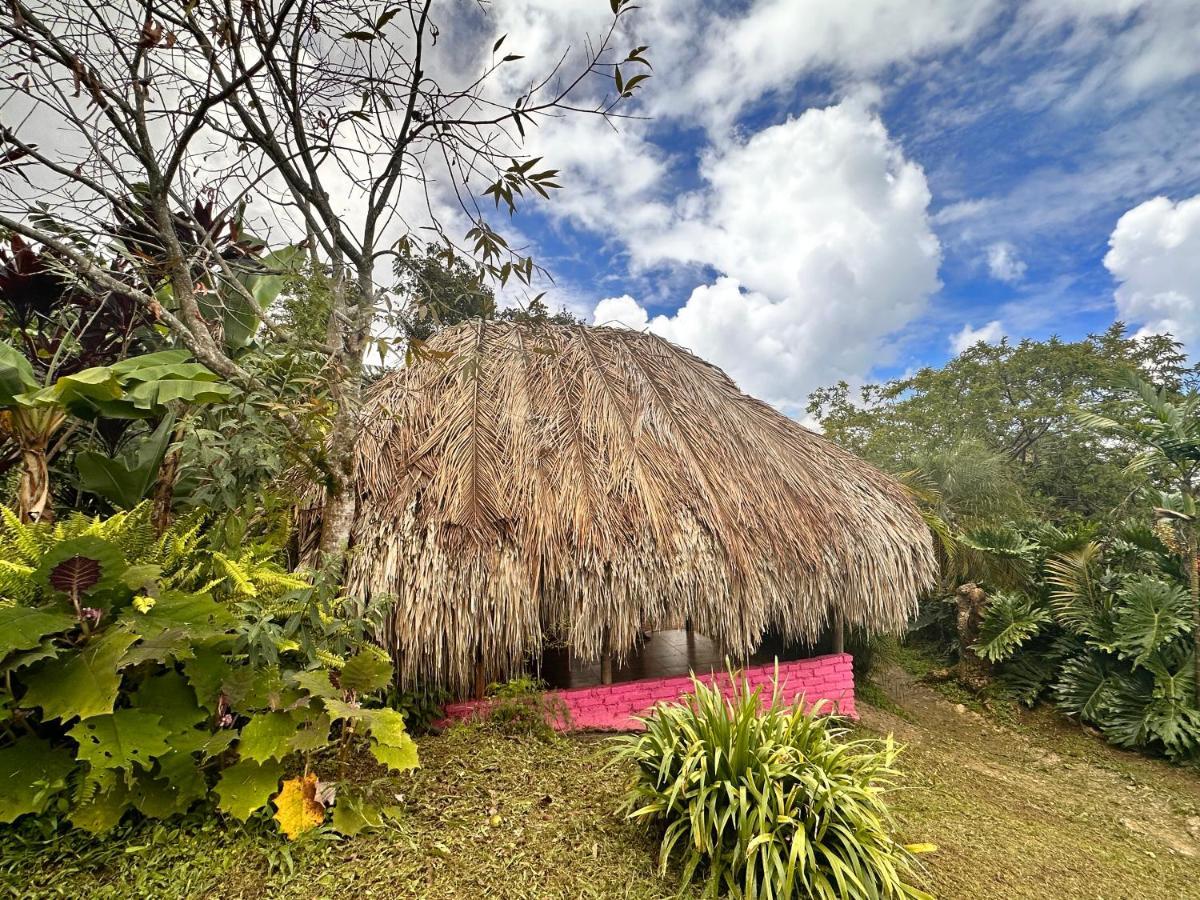 Sierra Alta Finca Boutique Villa Minca Exterior photo
